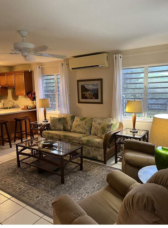 Lower-level apartment